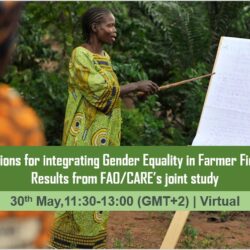 Webinar: Global solutions for integrating gender equality in farmer field schools (FFS)