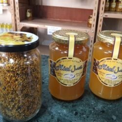 ANAP- Algérie :  Un effort pour la professionnalisation de l'apiculture