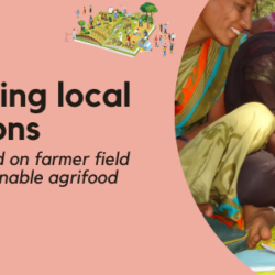 Call for Submissions: Innovation award on farmer field schools for sustainable agrifood systems
