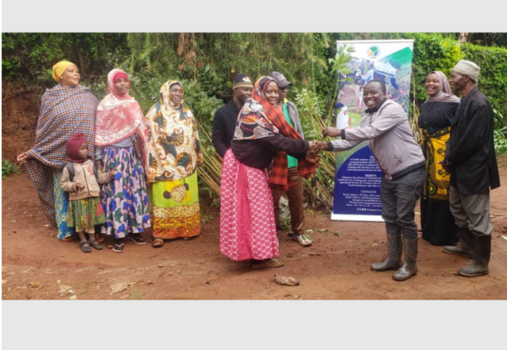 Tanzanian radio station runs competition. The prize? Trees!