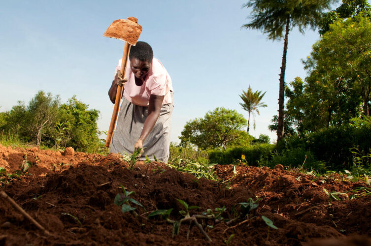 Radio programme: Effects of climate change on smallholder farmers and how they can adapt and mitigate against