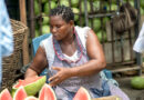 Radio programme: Access to finance for smallholder forest and farm producers