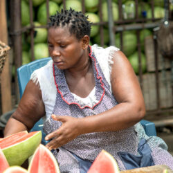 Radio programme: Access to finance for smallholder forest and farm producers
