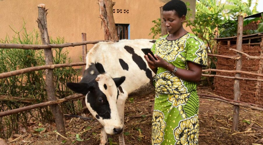 Creating opportunities for youth and women with digital agriculture