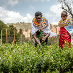 Radio Programme: Fostering Women’s Leadership in Farmer Organizations: Insights and Strategies