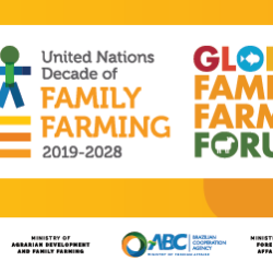 Global Family Farming Forum: Halfway through the United Nations Decade of Family Farming 2019-2028