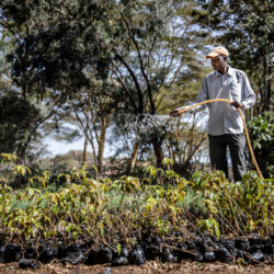 Radio Programme: The importance of Community Forest Management Areas as a forest management technique