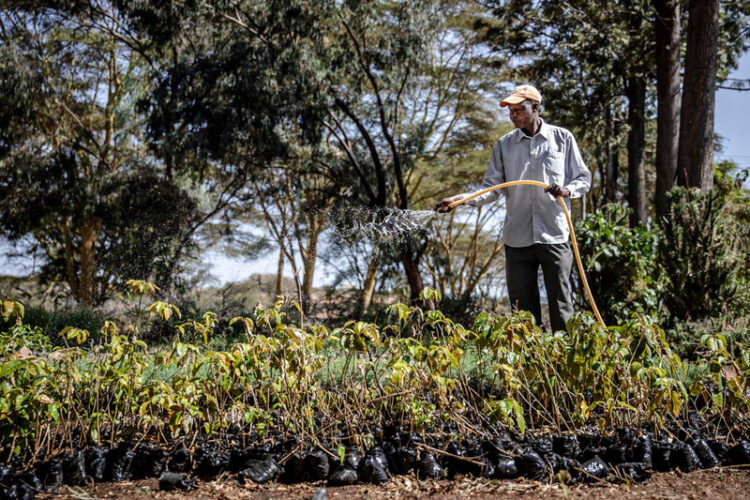 Radio Programme: The importance of Community Forest Management Areas as a forest management technique