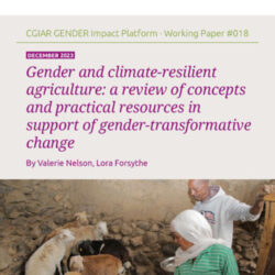 Gender and climate-resilient agriculture: A review of concepts and practical resources in support of gender-transformative change