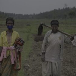 World Rural Women’s Day 2024: Honoring key players in agricultural development