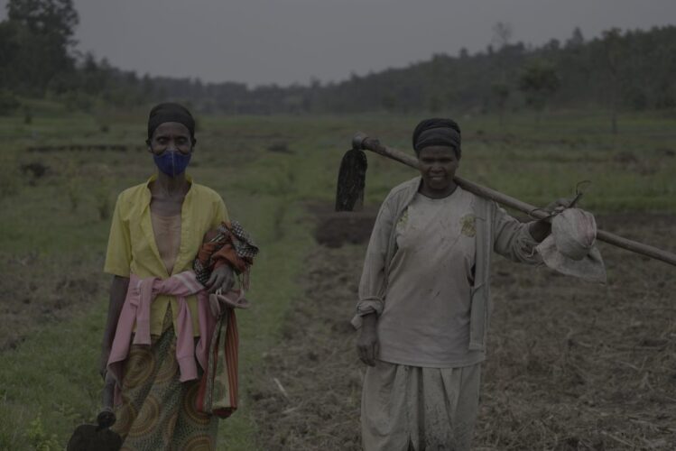 Journée mondiale de la femme rurale 2024 : Valoriser les actrices essentielles du développement agricole