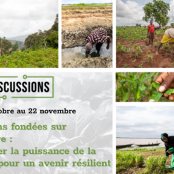 Rejoignez RRI pour une discussion en ligne passionnante sur les Solutions fondées sur la nature