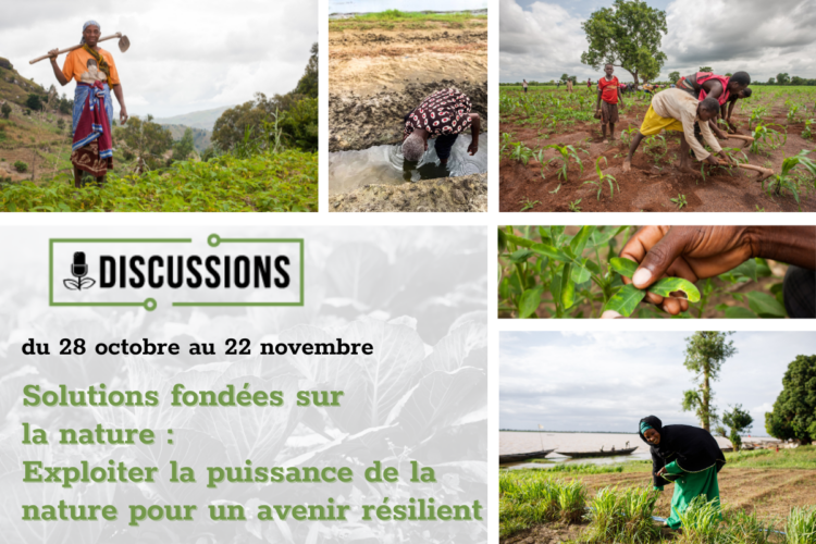 Rejoignez RRI pour une discussion en ligne passionnante sur les Solutions fondées sur la nature