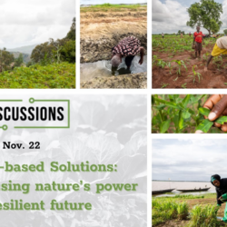 Join FRI for an exciting online discussion on Nature-based Solutions