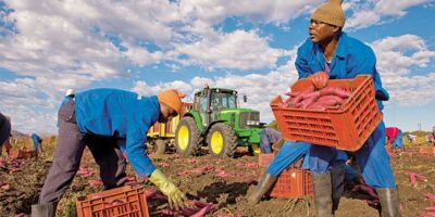 Pan African FO Exchange Platform-UNFCCC Webinars JOINT SESSION: African Farmers’ Organizations, and the COP29 – Priorities, Advocacy, Finance