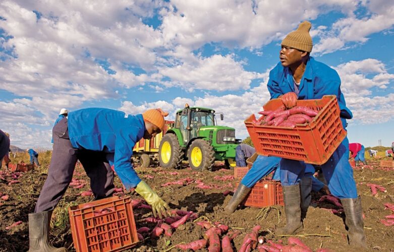 Pan African FO Exchange Platform-UNFCCC Webinars JOINT SESSION: African Farmers’ Organizations, and the COP29 – Priorities, Advocacy, Finance