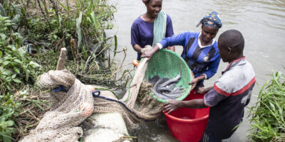 Edition spéciale: Journée mondiale de la pêche 2024 – Le rôle des pêches artisanales dans la construction d’un avenir résilient