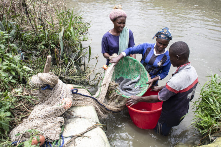 Special feature: World Fisheries Day 2024 -The role of small-scale fisheries in building a resilient future