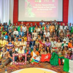 Des jeunes africain·es participent à des sessions de formation en Afrique du Sud, en Éthiopie et à Maurice