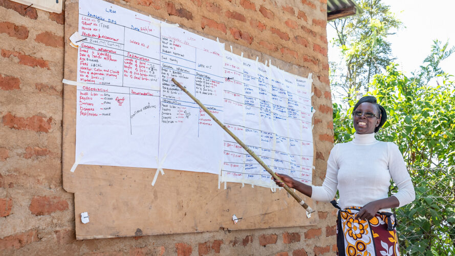 Au Kenya, des investissements de grande ampleur en faveur des fermes-écoles contribuent à l’approfondissement des connaissances et à l’augmentation des revenus des exploitants agricoles