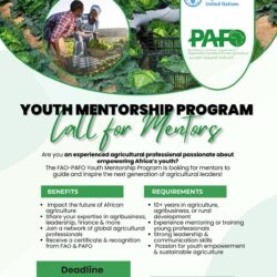 FAO-PAFO youth mentorship programme: Call for mentors