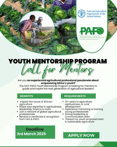 FAO-PAFO youth mentorship programme: Call for mentors