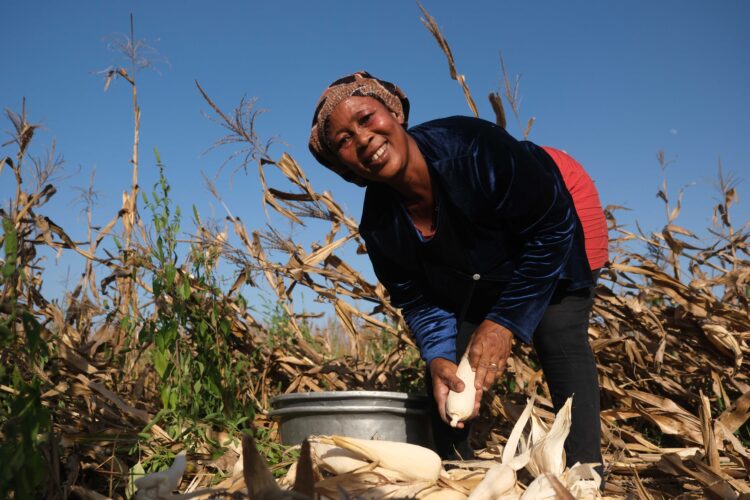 Harvesting Hope: Empowering Women Farmers for Higher Healthy Food Production in Northern Ghana