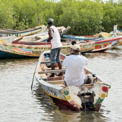 Comment une famille de pêcheurs au Sénégal navigue enfin en eaux calmes