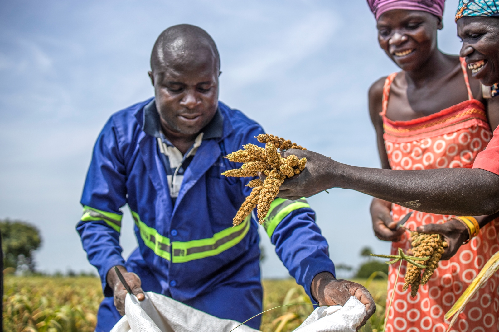 Rice-fish farming in the Land of Milk and Honey: South-South ...