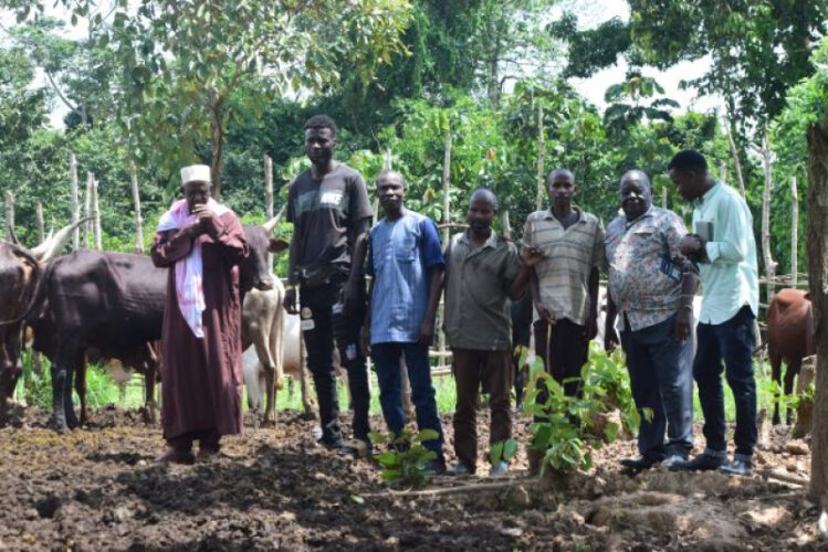 Local Support Frameworks: Pillars of Economic Development for Farmers' Organizations in Central Africa