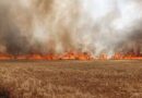 Radio Programme: Wildfire Management for Sustainable Agricultural Production in Ghana