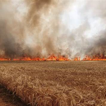 Programme Radio : Gestion des feux de brousse pour une production agricole durable au Ghana