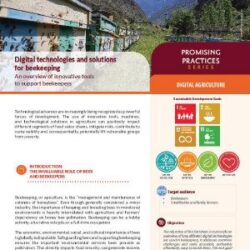 Digital technologies and solutions for beekeeping