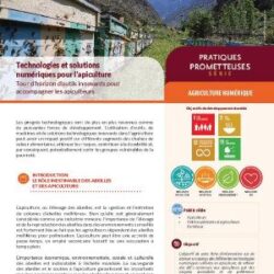 Technologies et solutions numériques pour l'apiculture