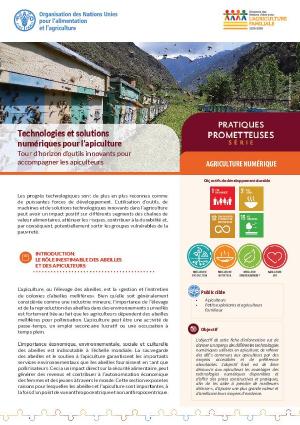 Technologies et solutions numériques pour l'apiculture