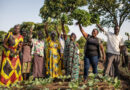 Appel mondial à témoignages : « Les agriculteurs familiaux au cœur de systèmes agroalimentaires durables et résilients face au climat »