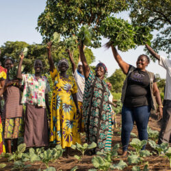 Global Call for Stories: Family farmers at the heart of climate-resilient and sustainable agrifood systems