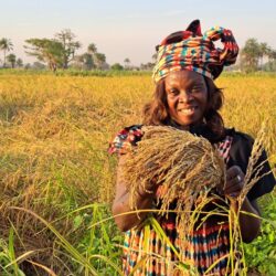 Avec les femmes rurales, l’heure du changement en Afrique de l'Ouest