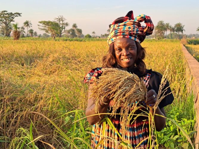 Avec les femmes rurales, l’heure du changement en Afrique de l'Ouest