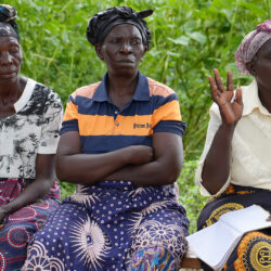 Behavioural science promotes sustainable and resilient agricultural practices in Zambia