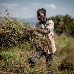 Impact économique et social – Contribution de l’agriculture familiale à l’économie locale et au développement communautaire