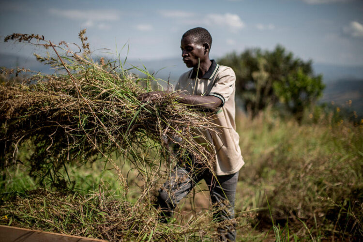 Impact économique et social – Contribution de l’agriculture familiale à l’économie locale et au développement communautaire