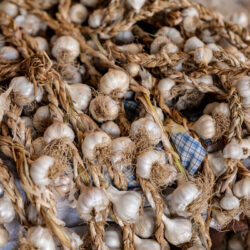Radio programme: How Tanzanian garlic farmers are preserving quality and boosting income one bulb at a time