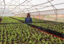 Eswatini advances climate-resilient agriculture with modern farming technologies