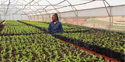 Eswatini advances climate-resilient agriculture with modern farming technologies