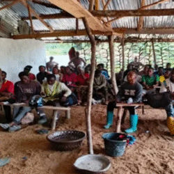 La prochaine génération d’agriculteurs du Libéria se forme au Youth International Training Institute pour lutter contre l’insécurité alimentaire